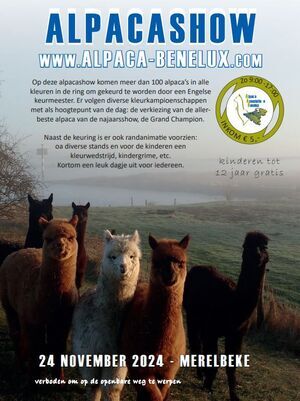 Alpaca Show